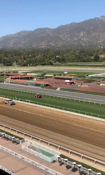 Horse racing's tragic, wild ride culminates at Breeders' Cup
